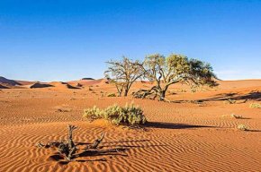 <strong><font color='#333333'>世界上最古老的十个沙漠，纳米布沙漠近</font></strong>
